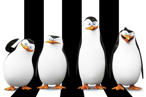 Обои Penguins Madagascar 480x320