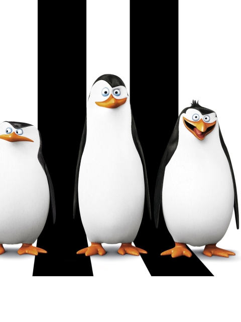 Fondo de pantalla Penguins Madagascar 480x640