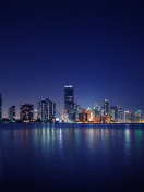 Das Miami Skyline Night Wallpaper 132x176