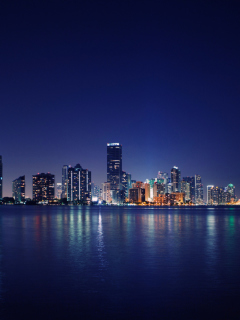 Miami Skyline Night screenshot #1 240x320