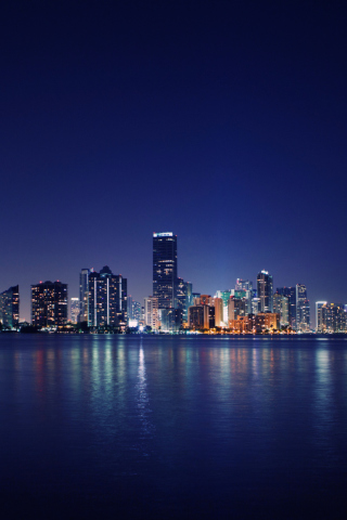 Fondo de pantalla Miami Skyline Night 320x480