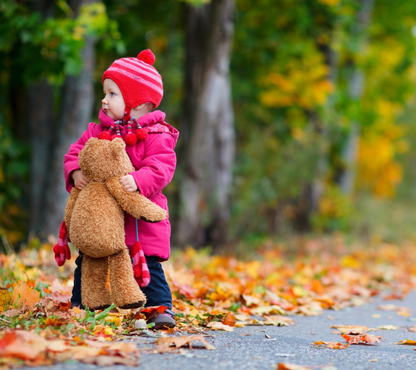 Child With Teddy Bear wallpaper 1440x1280