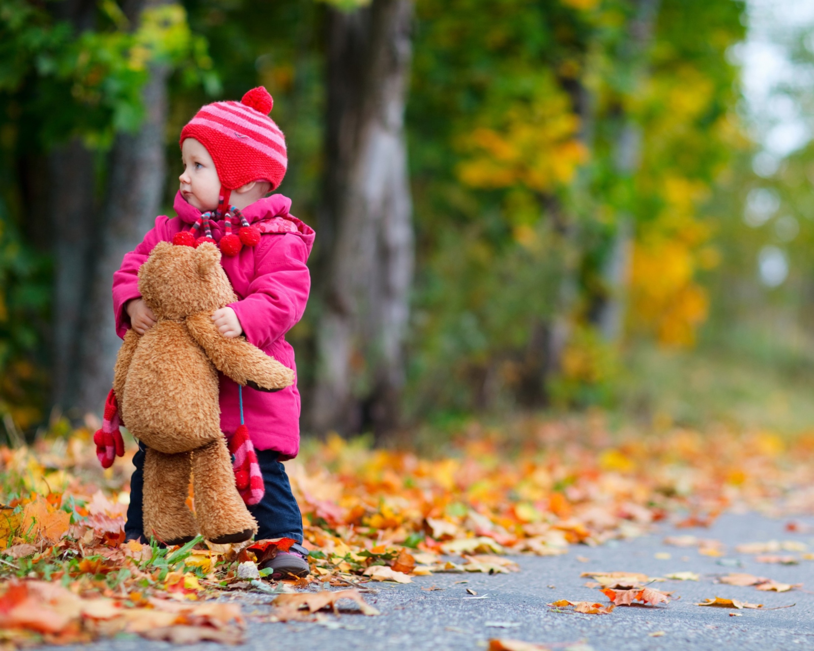 Das Child With Teddy Bear Wallpaper 1600x1280