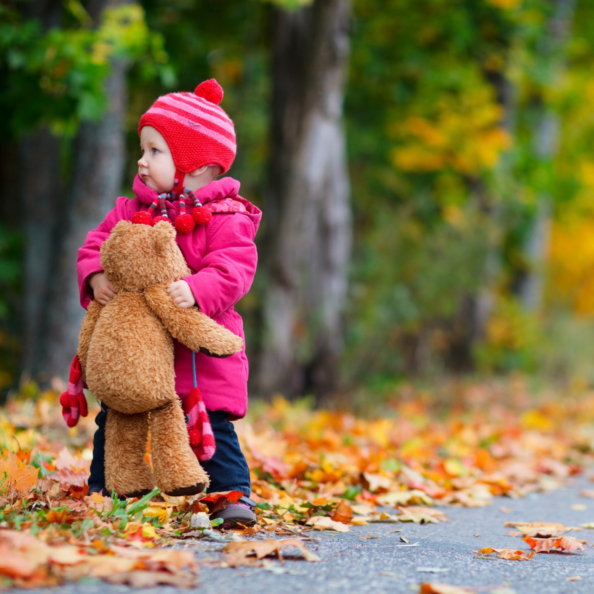 Обои Child With Teddy Bear 2048x2048