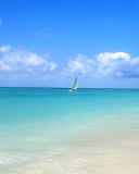 Sailing In Paradise wallpaper 128x160