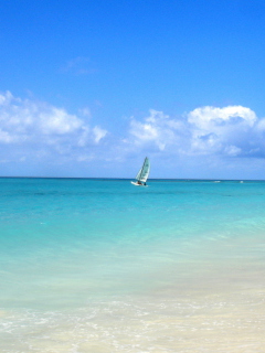 Sailing In Paradise screenshot #1 240x320