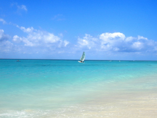 Sailing In Paradise screenshot #1 320x240
