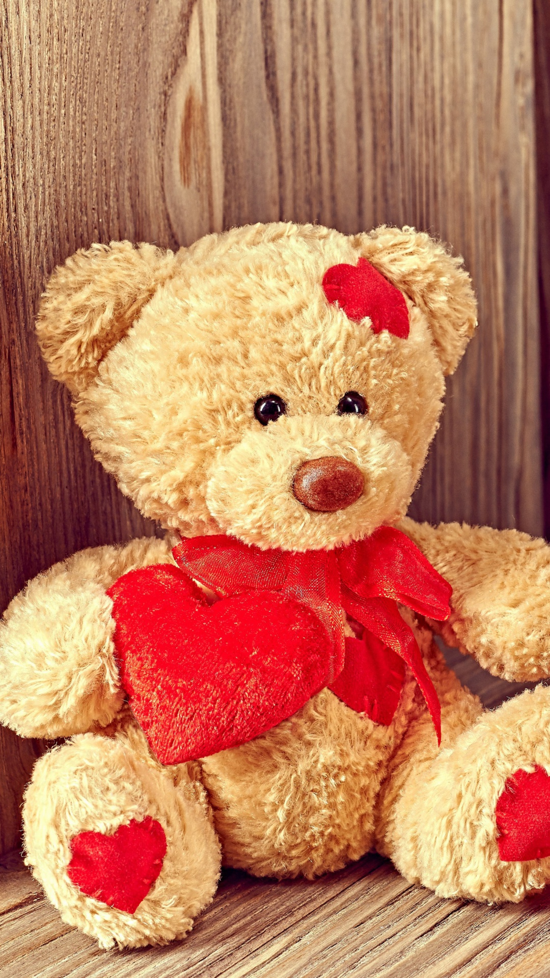 Brodwn Teddy Bear Gift for Saint Valentines Day wallpaper 1080x1920