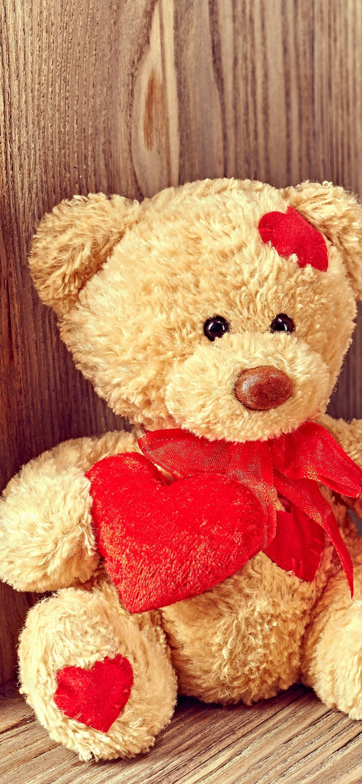 Обои Brodwn Teddy Bear Gift for Saint Valentines Day 1170x2532