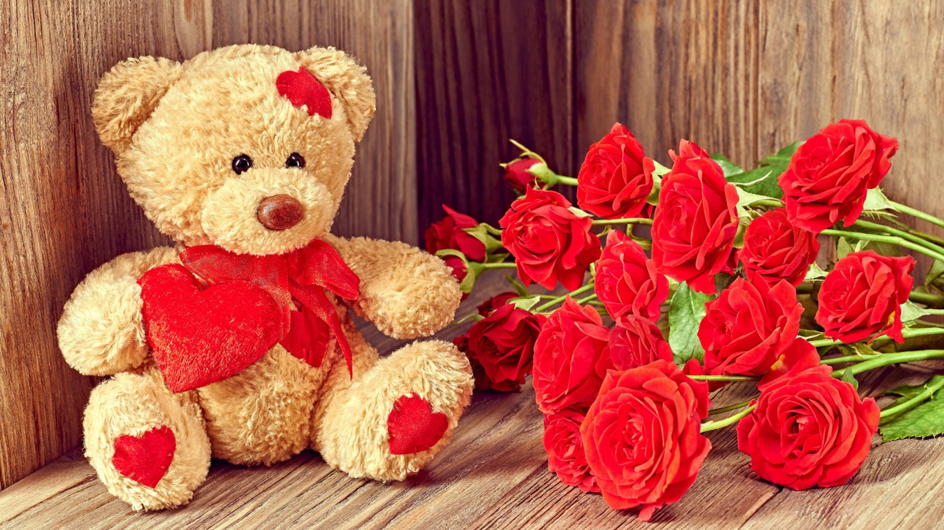 Brodwn Teddy Bear Gift for Saint Valentines Day wallpaper 1366x768