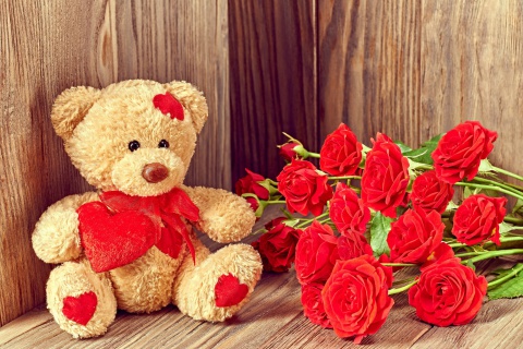 Brodwn Teddy Bear Gift for Saint Valentines Day wallpaper 480x320