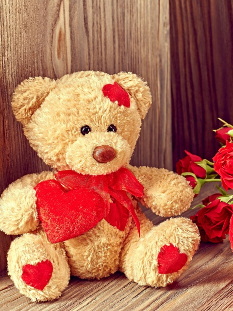 Brodwn Teddy Bear Gift for Saint Valentines Day wallpaper 480x640