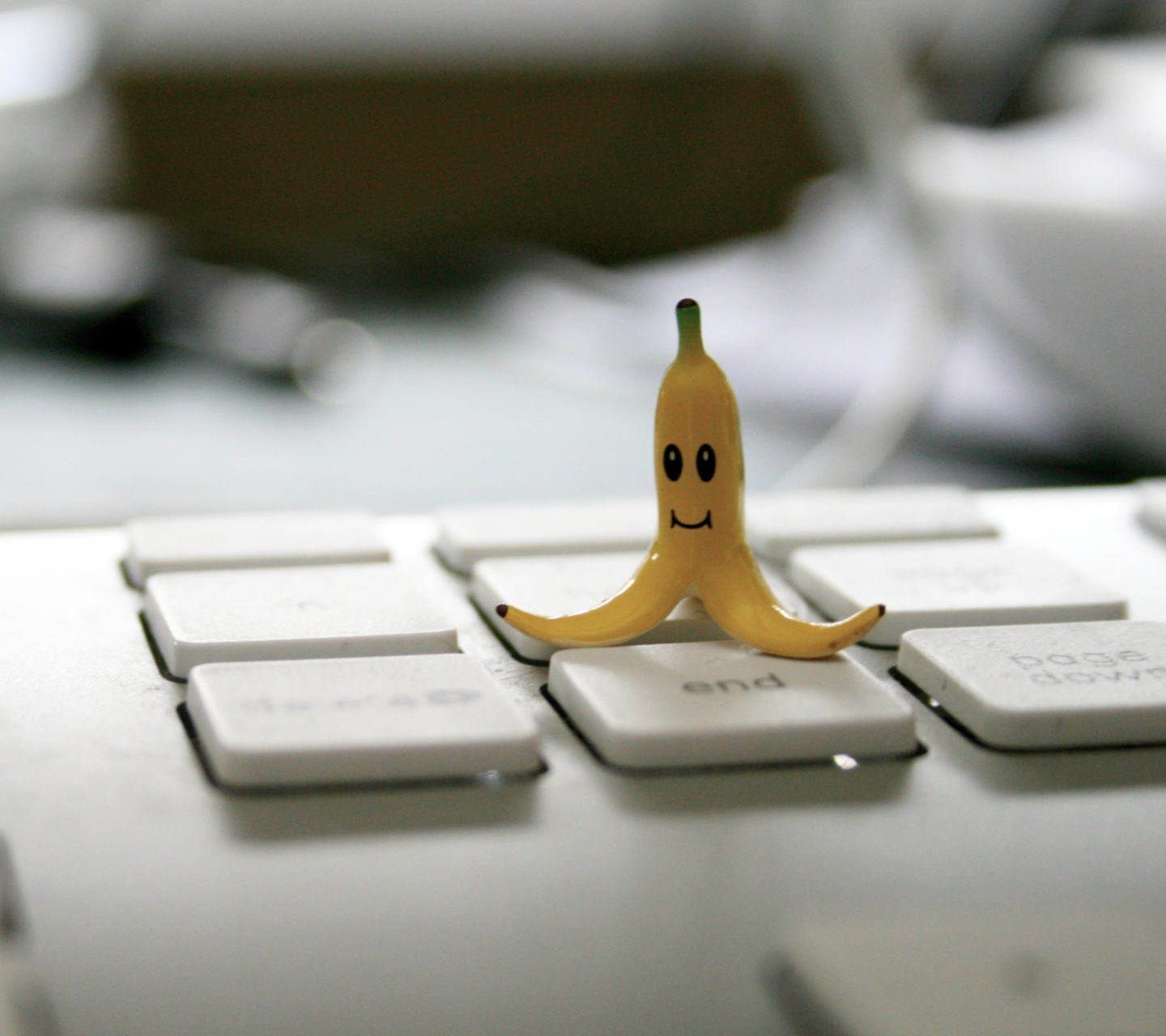 Sfondi Funny Banana 1440x1280