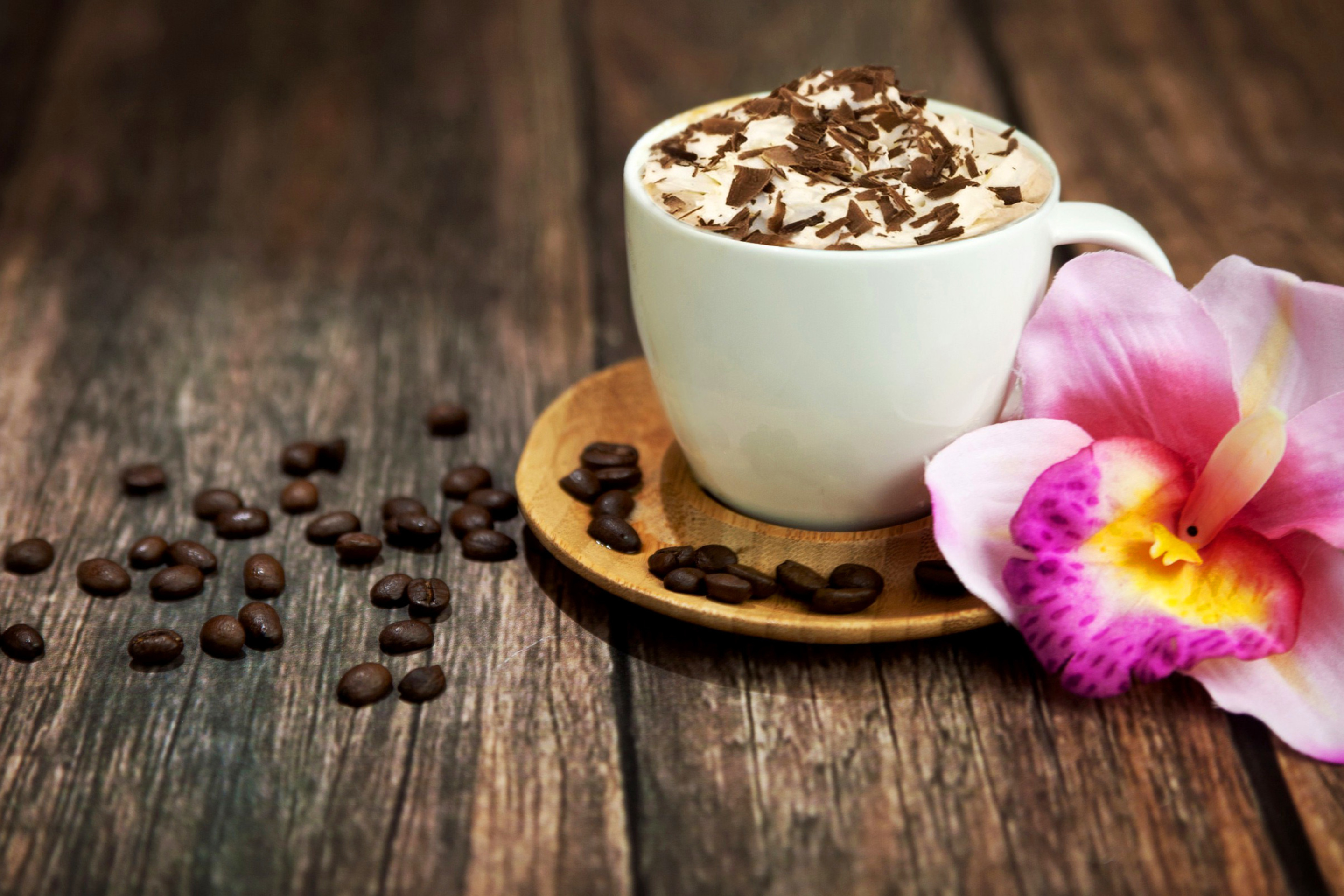 Coffee beans and flower wallpaper 2880x1920