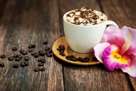 Coffee beans and flower wallpaper 480x320