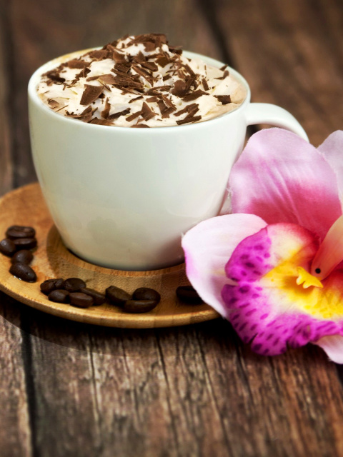 Fondo de pantalla Coffee beans and flower 480x640