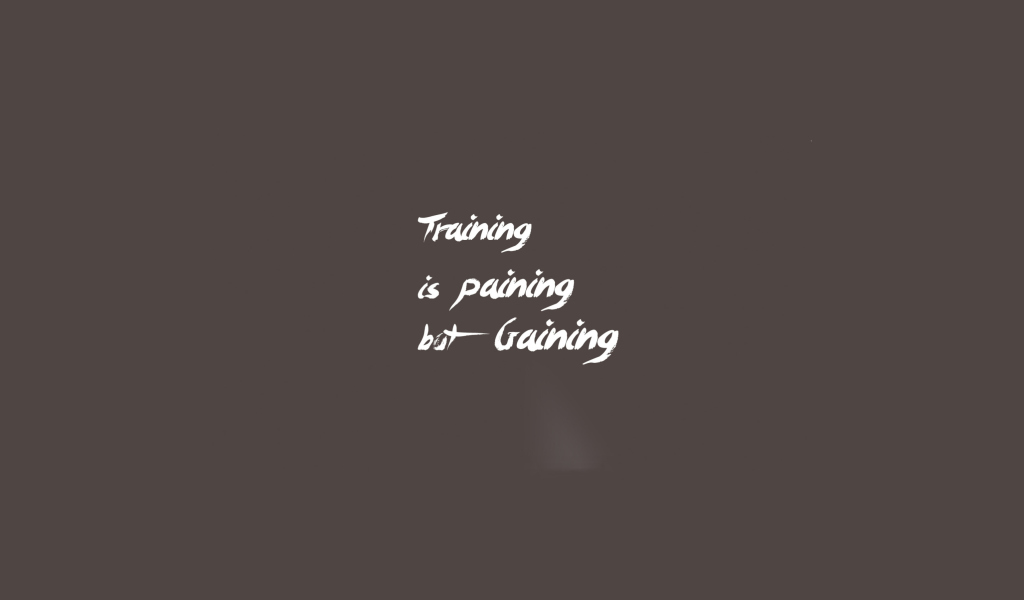 Fondo de pantalla Training Is Gaining 1024x600