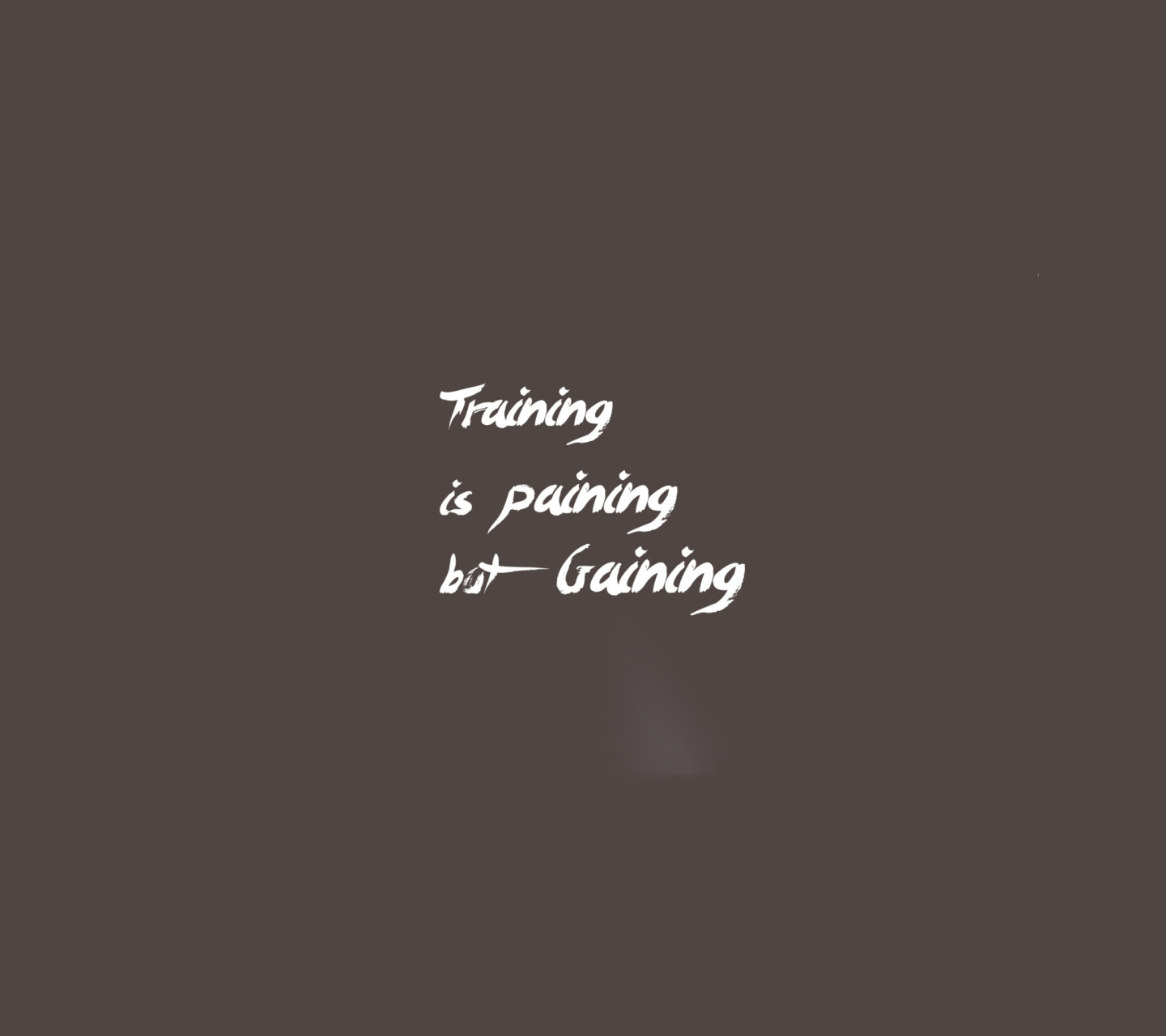 Training Is Gaining wallpaper 1440x1280