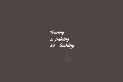 Training Is Gaining wallpaper 480x320