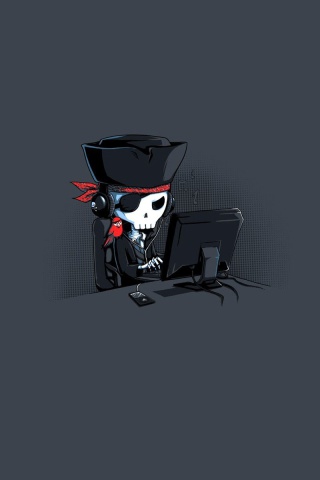 Online Pirate Hacker wallpaper 320x480
