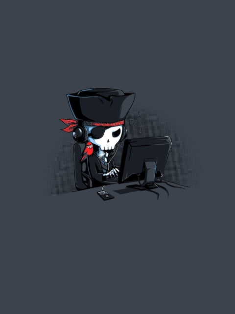Sfondi Online Pirate Hacker 480x640