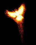 Fondo de pantalla Phoenix Bird 128x160