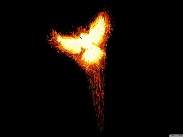 Phoenix Bird wallpaper 640x480