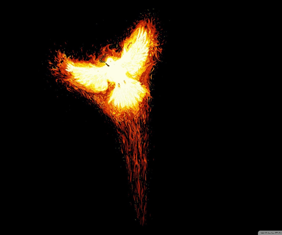 Phoenix Bird wallpaper 960x800