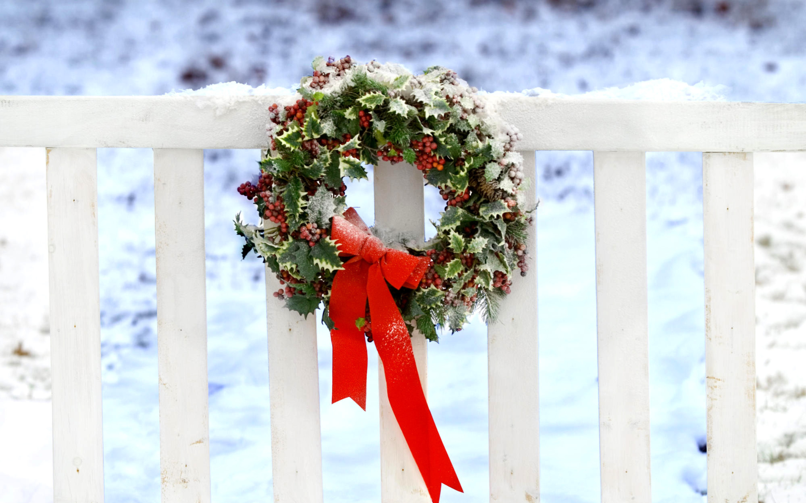 Sfondi Holiday Wreath 2560x1600