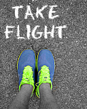 Take Flight screenshot #1 128x160