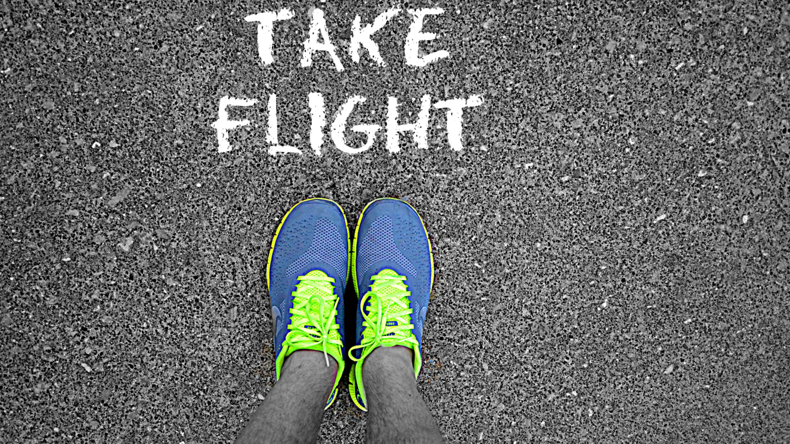 Take Flight screenshot #1 1600x900