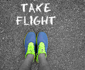 Take Flight wallpaper 176x144