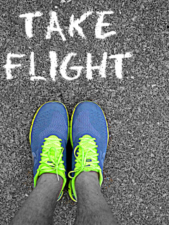 Take Flight wallpaper 240x320