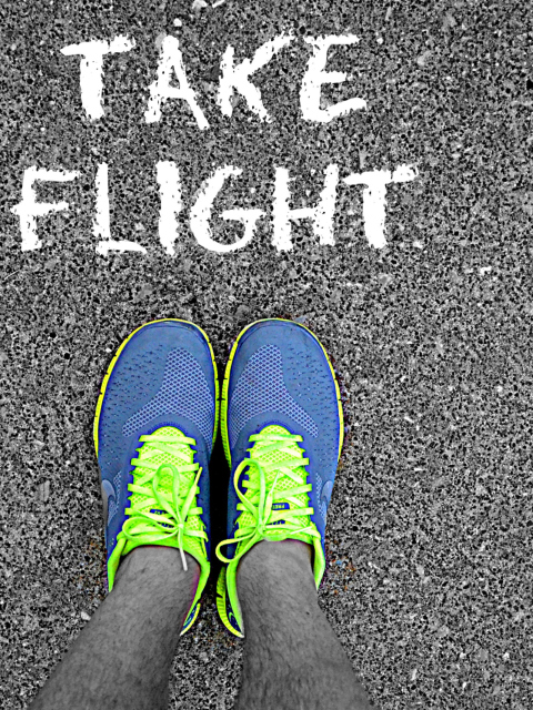 Das Take Flight Wallpaper 480x640