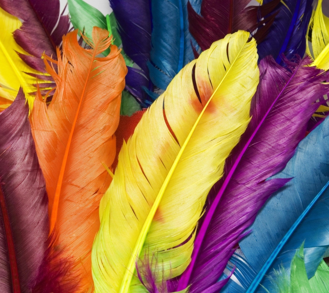 Обои Colorful Feathers 1080x960