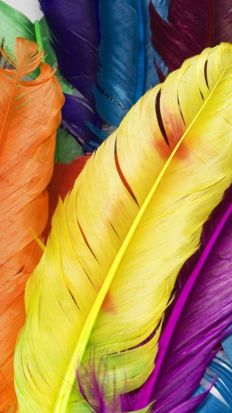 Colorful Feathers wallpaper 750x1334