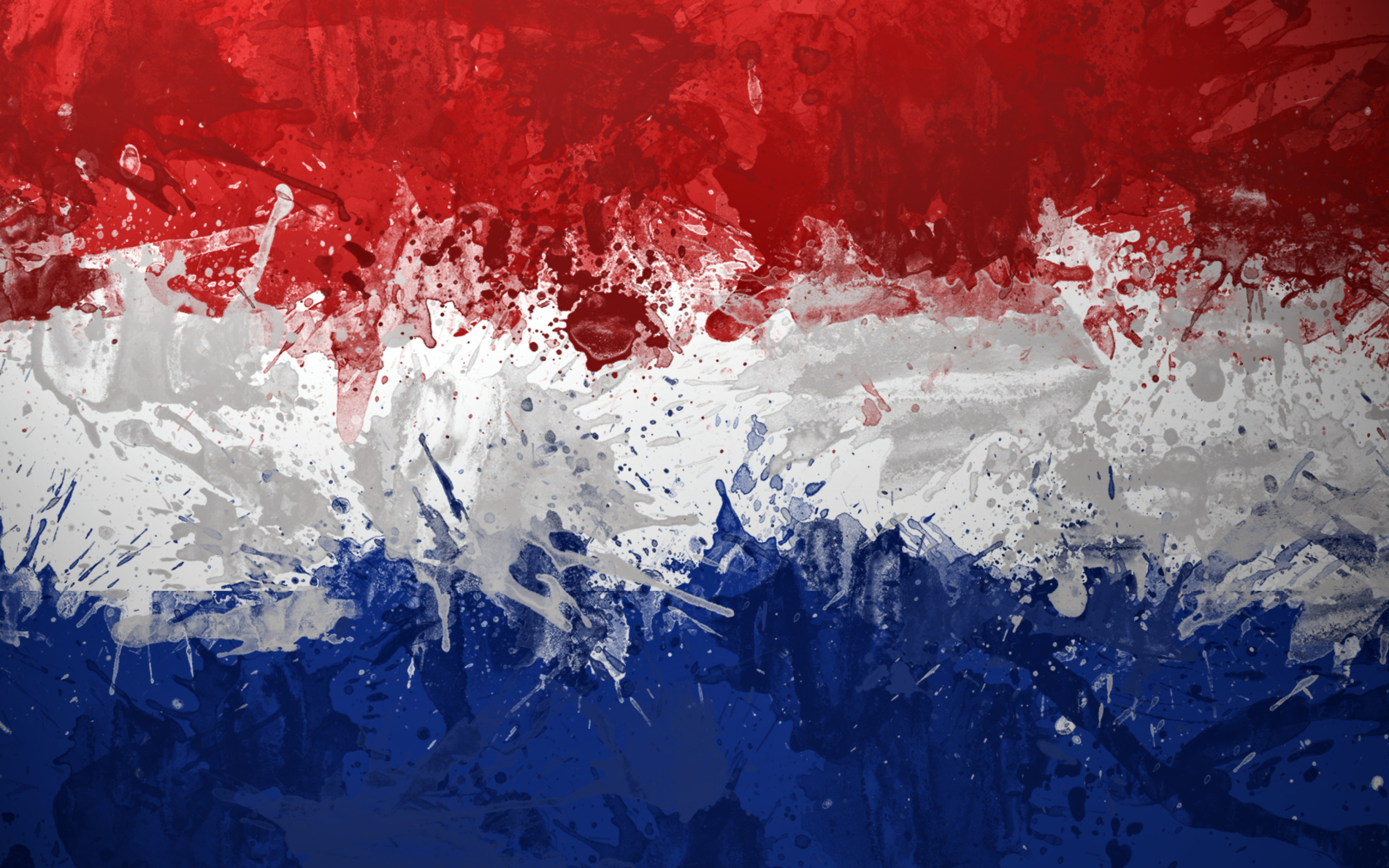 Screenshot №1 pro téma Netherlands Flag 2560x1600