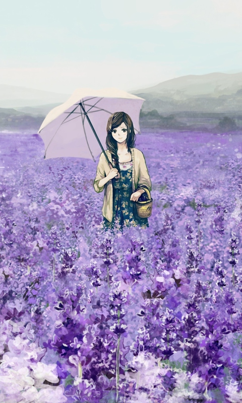 Girl With Umbrella In Lavender Field wallpaper 480x800