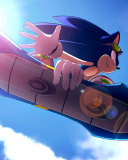 Play Sonic the Hedgehog Game screenshot #1 128x160