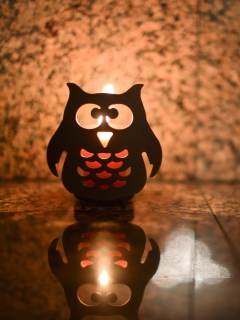 Das Owl Candle Wallpaper 240x320