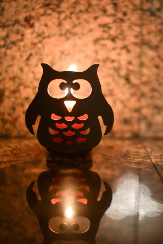 Обои Owl Candle 320x480