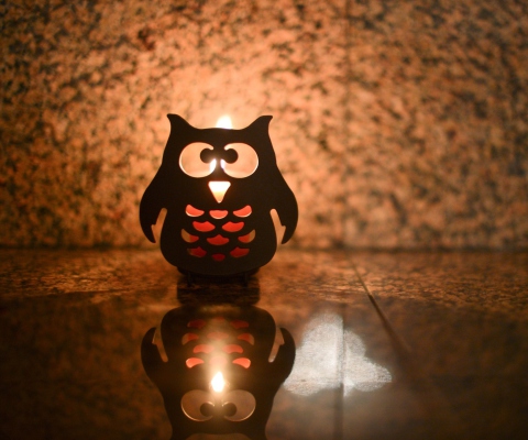 Owl Candle wallpaper 480x400