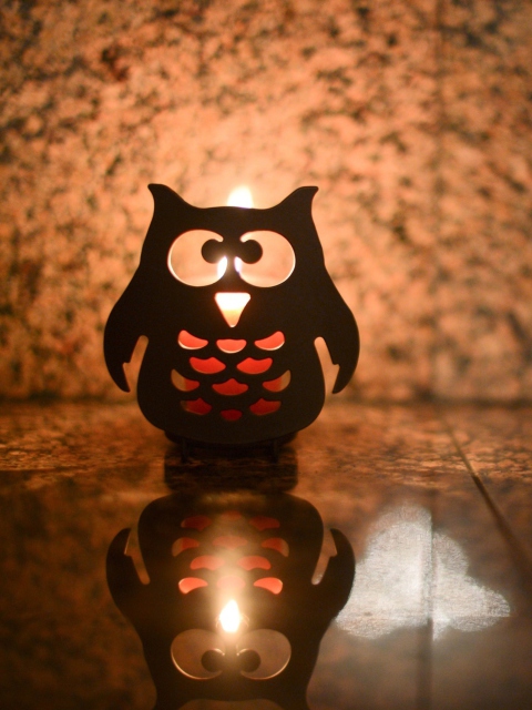 Sfondi Owl Candle 480x640