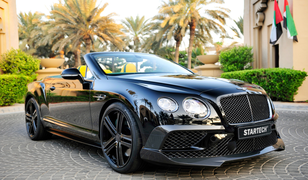Sfondi Bentley Continental GT 1024x600