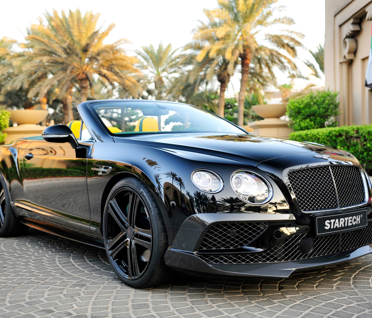 Обои Bentley Continental GT 1200x1024