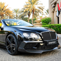 Обои Bentley Continental GT 208x208