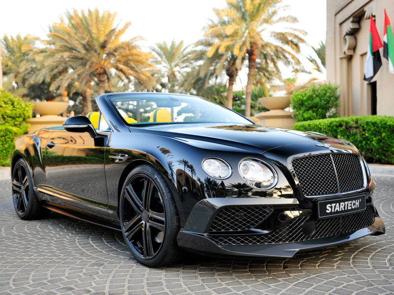 Das Bentley Continental GT Wallpaper 800x600