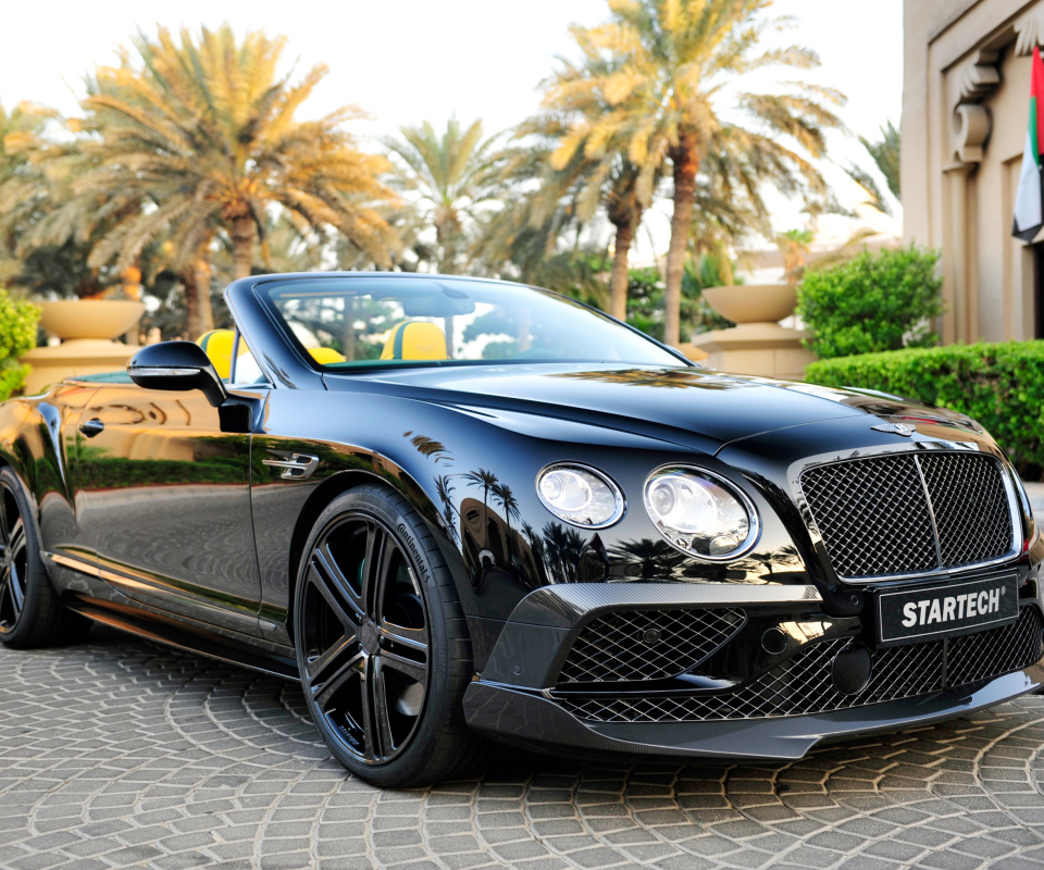 Bentley Continental GT wallpaper 960x800