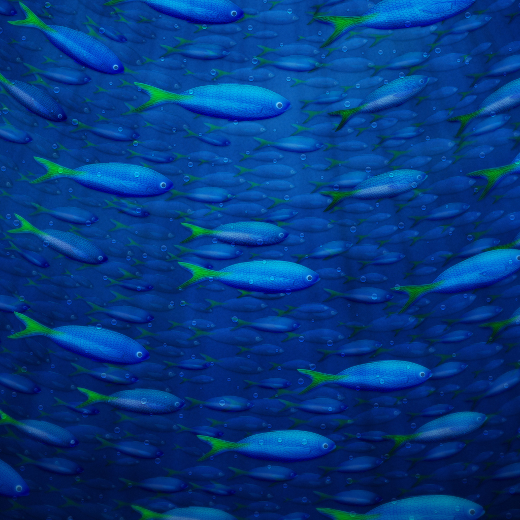 Fondo de pantalla Plenty Of Fish In Sea 1024x1024