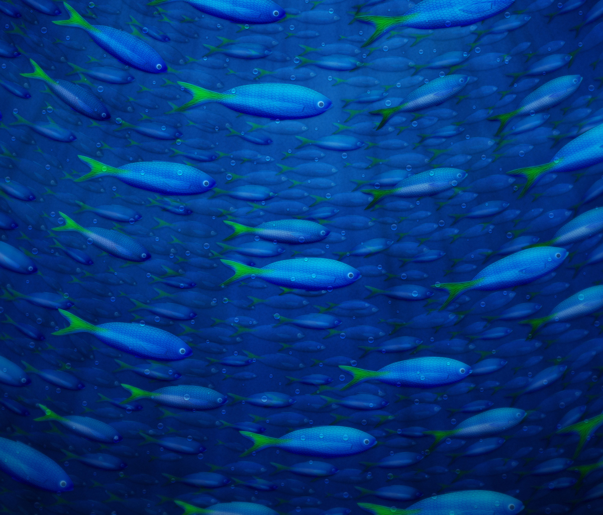 Sfondi Plenty Of Fish In Sea 1200x1024